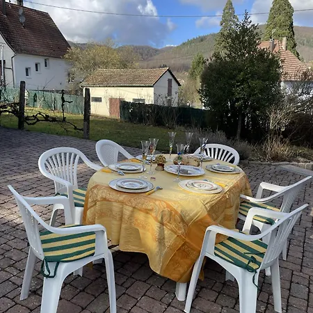 Villa Cocohaus, 10 Personnes En Alsace A Les Bains, Cures Et Famille