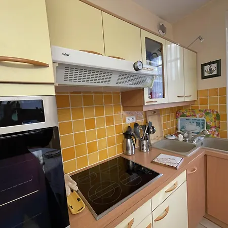 Cocohaus, 10 Personnes En Alsace A Les Bains, Cures Et Famille *