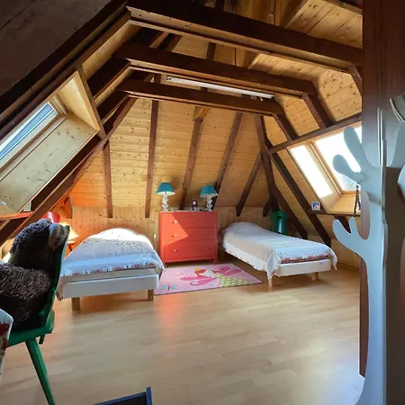 Cocohaus, 10 Personnes En Alsace A Les Bains, Cures Et Famille Niederbronn-les-Bains