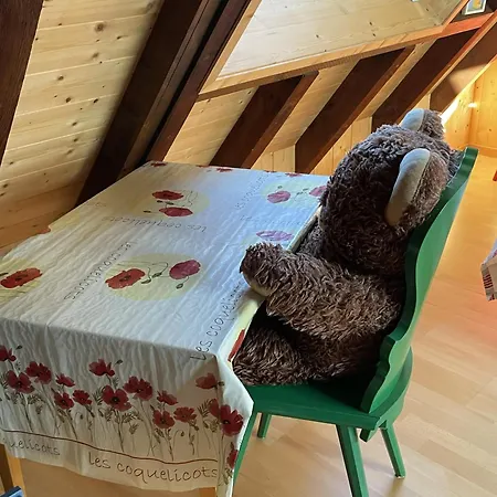 Villa Cocohaus, 10 Personnes En Alsace à Les Bains, Cures Et Famille Niederbronn-les-Bains
