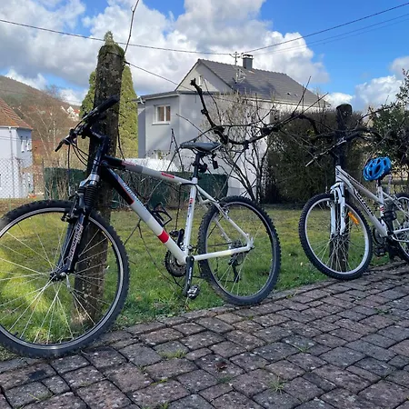 Villa Cocohaus, 10 Personnes En Alsace à Les Bains, Cures Et Famille