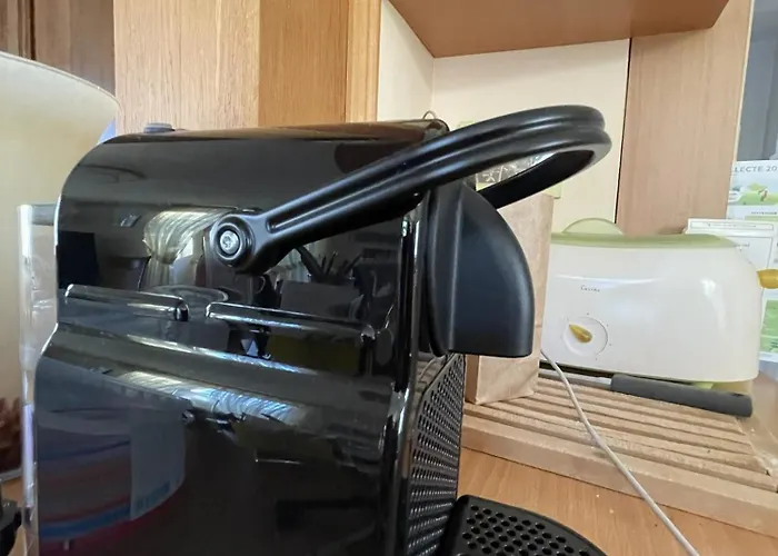 Cocohaus, 10 Personnes En Alsace A Niederbronn Les Bains, Cures Et Famille *