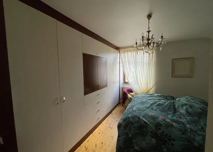 Cocohaus, 10 Personnes En Alsace A Niederbronn Les Bains, Cures Et Famille Villa *