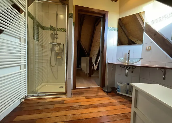 Cocohaus, 10 Personnes En Alsace A Niederbronn Les Bains, Cures Et Famille * Niederbronn-les-Bains