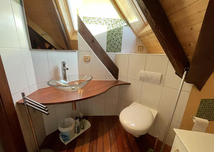 Cocohaus, 10 Personnes En Alsace A Niederbronn Les Bains, Cures Et Famille