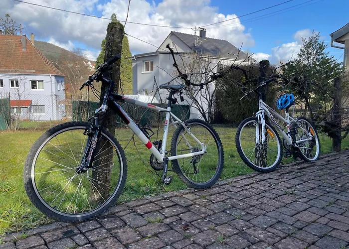 Villa Cocohaus, 10 Personnes En Alsace A Niederbronn Les Bains, Cures Et Famille